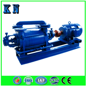 2sk Series Two-Stage Water Ring Vacuum Pump for Biological Medicine Food Chemical, Good Quality And Low Price